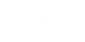 itapatio logo png blanco 250px